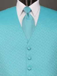 Spectrum Turquoise Solid Tie
