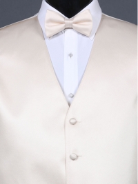 Simply Solid Champagne Bow Tie