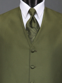 Sterling Olive Paisley