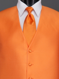 Reflections Tangerine Solid Tie