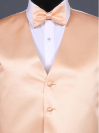 Simply Solid Peach Bow Tie