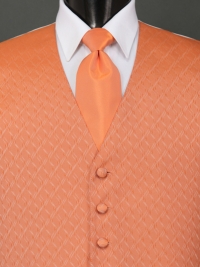 Spectrum Tangerine Solid Tie