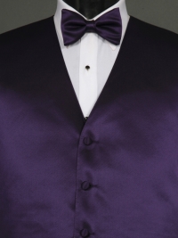 Simply Solid Grape Bow Tie