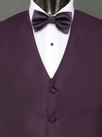 Solid Fusion Solid Eggplant Bow Tie