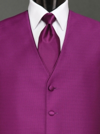 Sterling Violet Solid Tie