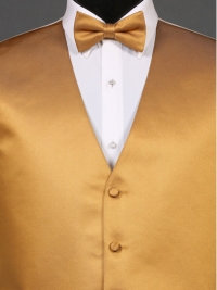 Simply Solid Midas Gold Bow Tie
