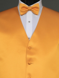 Simply Solids Affron Bow Tie