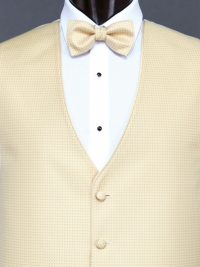 Sterling Gold Bow Tie