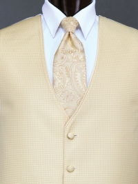 Sterling Gold  Paisley Tie