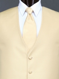Sterling Gold Solid Tie
